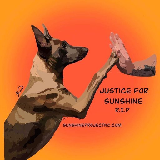 Unveiling the Dark Side of Gastonia’s Law Enforcement – Liberty Jubilee